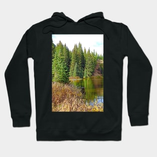 Lake Irene in Autumn Study 13-3 Hoodie